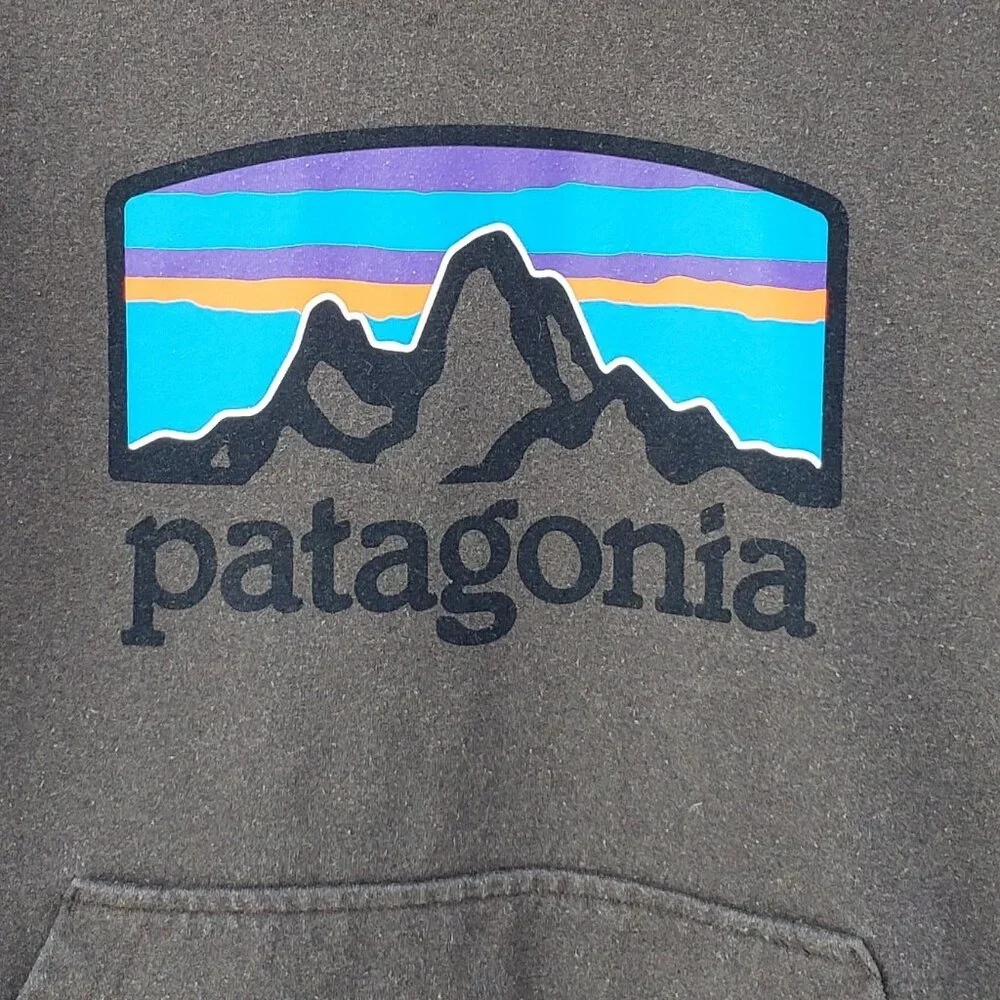 Patagonia Logo Uprisal Hoody / Pullover Hoodie, size XS - Picture 2 of 6